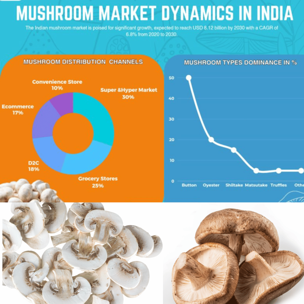 Mushroom Market Dynamics in India